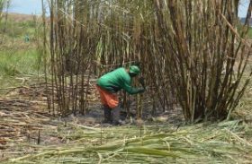 Acordo salarial beneficia 100 mil trabalhadores em canavieiros em Alagoas