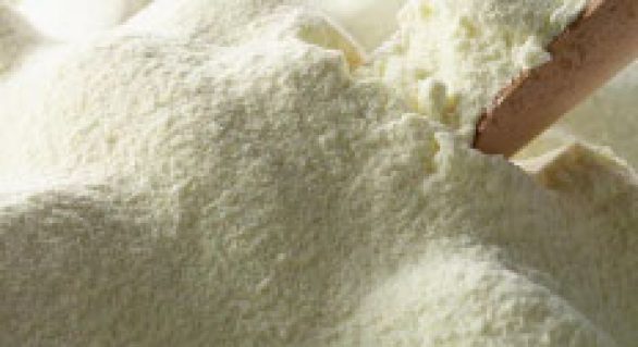 Fraudes no leite entregue à indústria e preços em alta marcaram o ano da pecuária leiteira