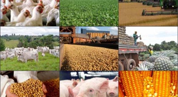 Inflação agrícola acelera e sobe 5,13% na segunda prévia de março