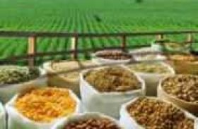 Valor da produção agropecuária do país deve somar R$ 449,9 bi em 2014