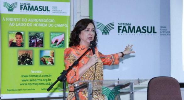 Kátia Abreu defende participação de governadores nos estudos da Funai