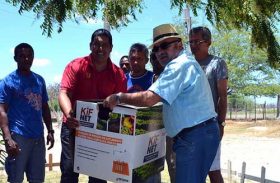 Agricultores beneficiados com kits de irrigação doados pela Codevasf trocam produção de cana por hortaliças