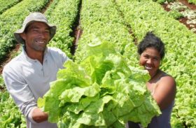 Semana dos Alimentos Orgânicos movimenta agricultura familiar no Estado