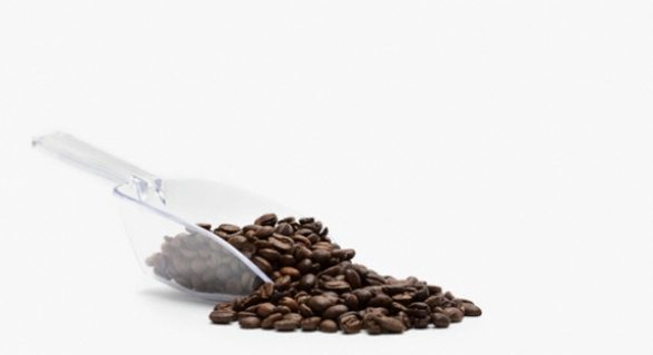 Medidas do governo para a cafeicultura resolvem parte do endividamento do setor