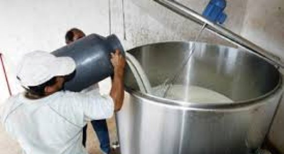 Fazenda apresenta proposta para crédito presumido da cadeia leiteira