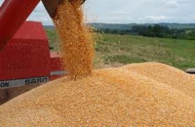 Produção agrícola deve se manter estável entre 2013 e 2014, diz IBGE