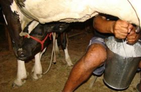 Codevasf reforça investimentos na bacia leiteira do sertão alagoano