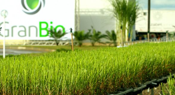 GranBio inicia produção de etanol de segunda geração em Alagoas