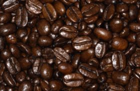 Cafeicultores perdem capacidade de renovar a produção na pior crise desta década