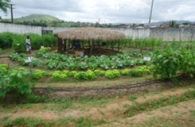 Produção Agroecológica vira instrumento de aprendizado em União dos Palmares