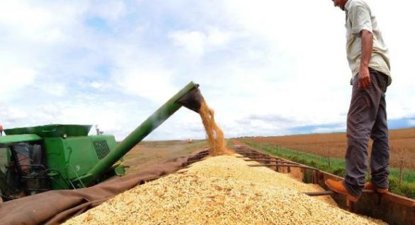 Conab estima produção de grãos em 191 milhões de toneladas na safra 2013/2014