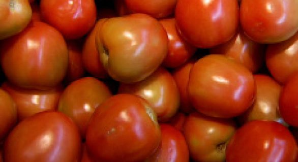 Importação de tomate do Brasil provoca polêmica na Argentina