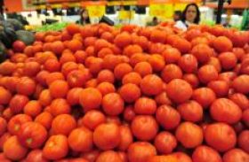 Argentina anuncia importação de tomates do Brasil
