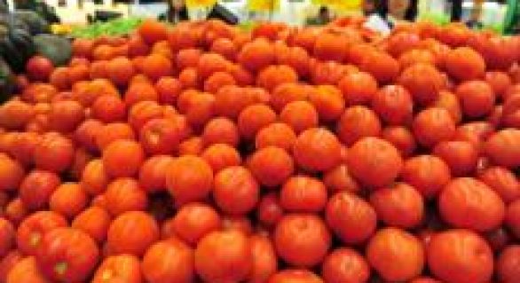 Argentina anuncia importação de tomates do Brasil