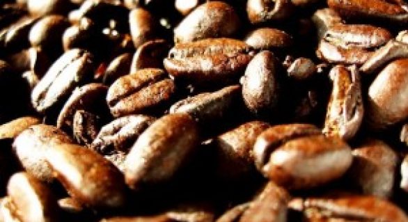 Cafeicultores apostam na rastreabilidade para ganhar mercado internacional