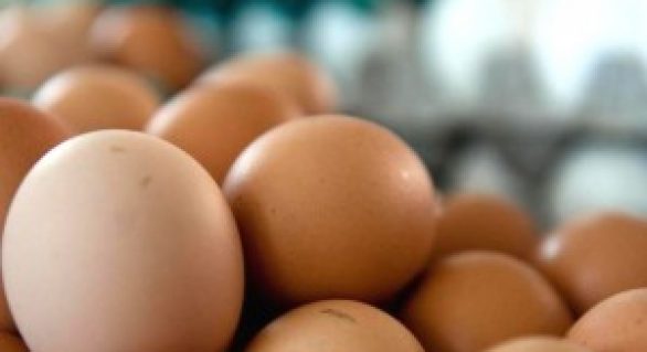 Preço do ovo está 7% menor no início deste ano