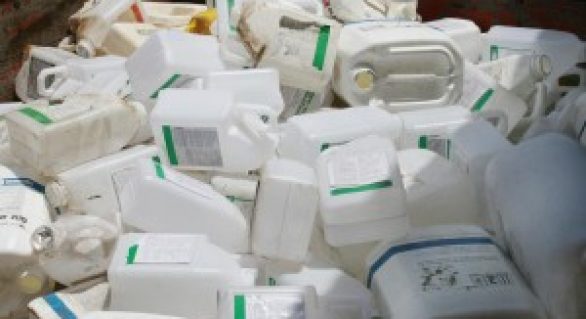Descarte correto de embalagens de agrotóxicos aumentou 8% no ano passado