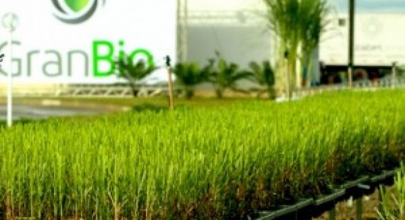 Granbio inaugura em março a fábrica de produção de etanol de segunda geração em Alagoas
