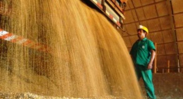 Agroindústria brasileira cai 0,2% em 2013, aponta IBGE