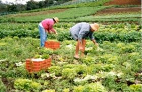 Dia de Campo vai estimular produção de alimentos orgânicos