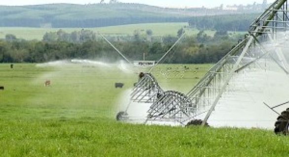 Financiamentos de sistemas de irrigação crescem 362%