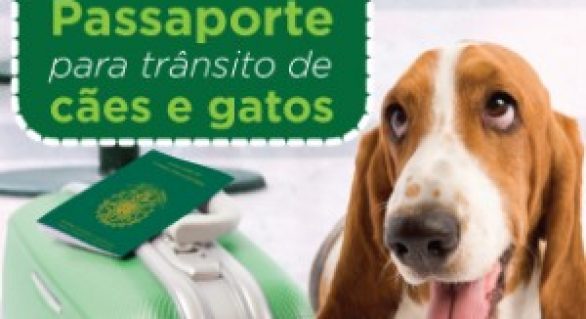 Passaportes para cães e gatos já podem ser requisitados