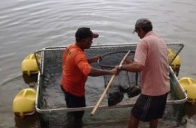 Secretaria da Pesca beneficiou mais de mil famílias apenas em janeiro