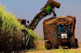 Programa de subvenção da cana-de-açúcar tem adesão de 95% em Alagoas