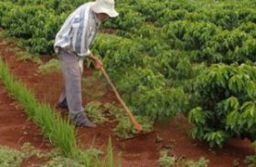 Fetag promove capacitação para inclusão de trabalhadores rurais no Programa Amigo Trabalhador