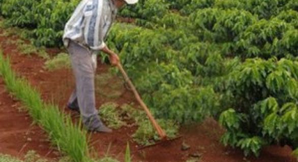 Fetag promove capacitação para inclusão de trabalhadores rurais no Programa Amigo Trabalhador