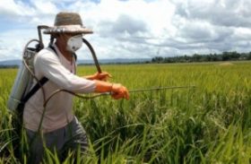 Adeal reforça fiscalização em revendas de agrotóxicos