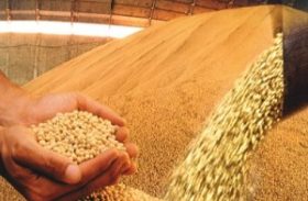 Brasil tem aumento de 0,7% na colheita de grãos com relação à safra passada