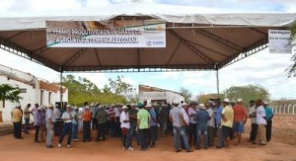 EMATER/AL lança prêmio para incentivar a produção de grãos em Alagoas