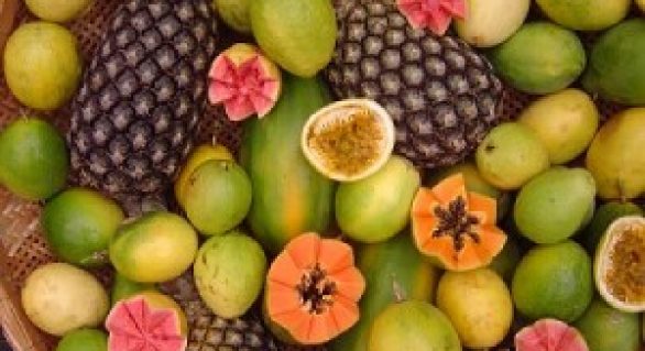 Fábrica de beneficiamento de frutas gera renda no Agreste de Alagoas