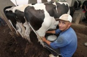 Missão entre Canadá e Alagoas vai revitalizar cadeia produtiva do leite