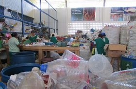 Maceió: catadores recolhem dez toneladas de lixo reciclável em um mês