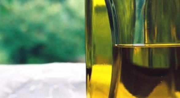 Setor do biodiesel estuda formas de diversificar fontes de matéria prima