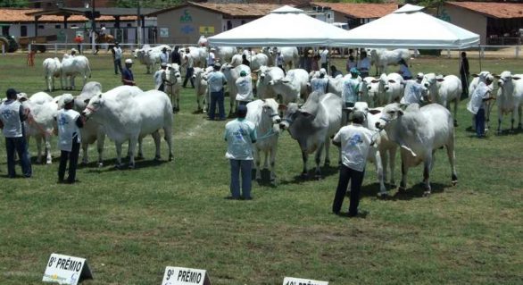 Adeal realiza desinfecção do Parque da Pecuária para a Expoalagoas Genética