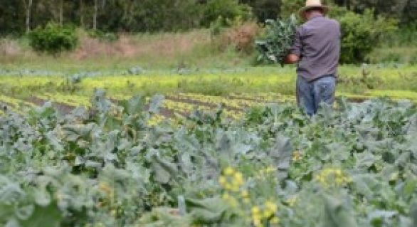 Senado aprova projeto que facilita desconto na conta de luz ao produtor rural