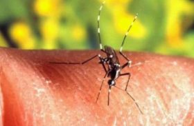 Maceió registra 425 casos de dengue no primeiro trimestre