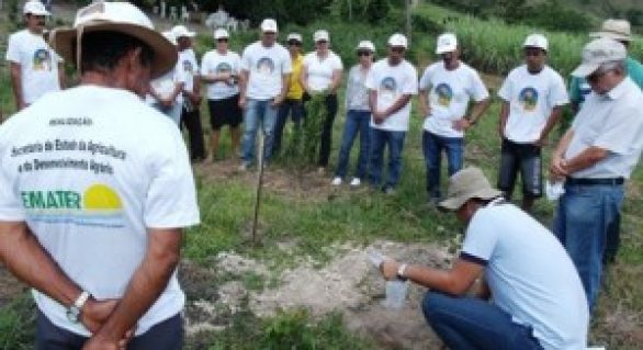EMATER/AL lança edital para contratação de 30 novos extensionistas rurais
