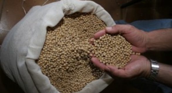 Governo entrega 26,5 toneladas de sementes no litoral norte