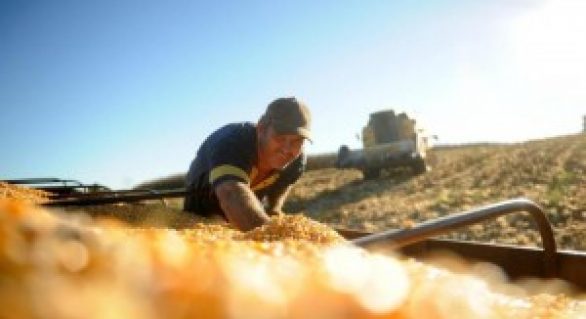 Perspectiva para preços internacionais dos grãos é bastante positiva, diz banco