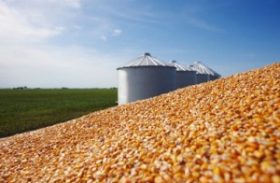 Déficit de armazenagem de grãos no país é de 40 milhões de toneladas por ano, estima Conab