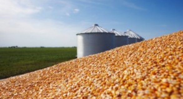 Bancos apresentam propostas de crédito rural para produção de grãos