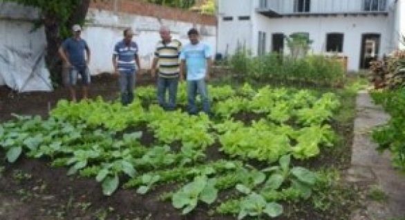 Lar de Nazaré e orgãos municipais recebem hortaliças em Penedo