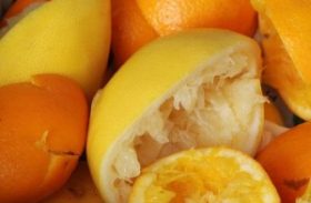 Bagaço da laranja lima pode ser transformado em cachaça
