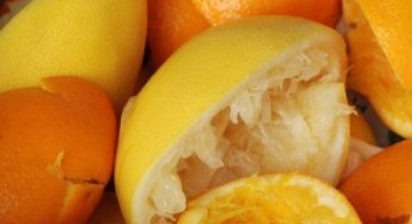 Bagaço da laranja lima pode ser transformado em cachaça