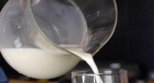 Fabricantes de produtos lácteos lançam associação do setor em Brasília