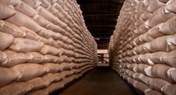 Governo faz remoção de 52,6 t de milho para evitar desabastecimento